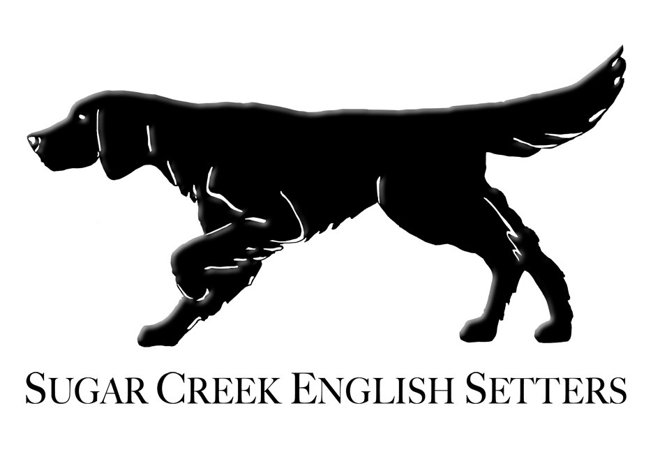 Doug Amey Graphic Design, Sugar Creek English Setters Logo