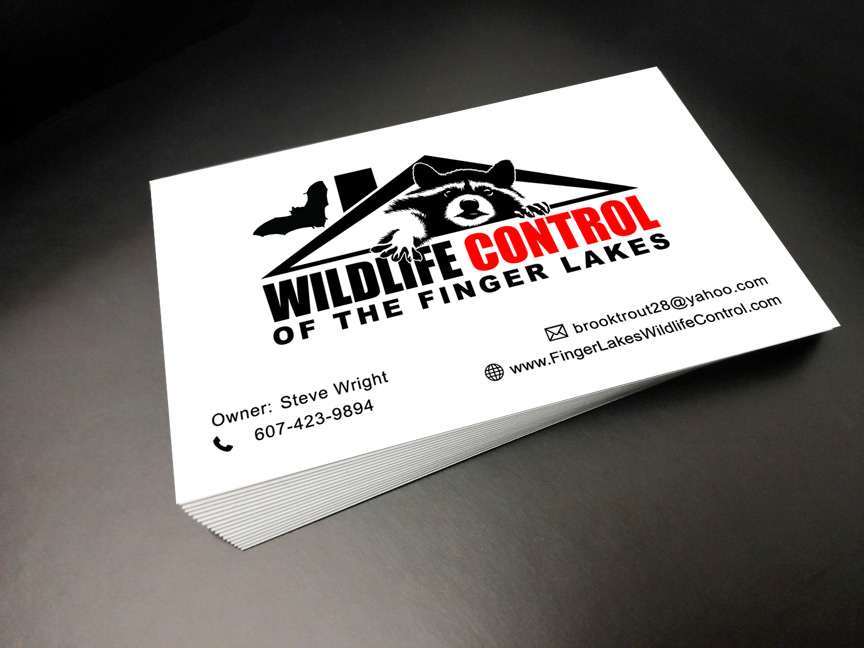Doug Amey Graphic Design, Wildlife Control of the Finger Lakes Business Cards