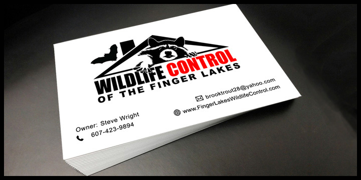Doug Amey Graphic Design Wildlife Control of the Finger Lakes Business Cards