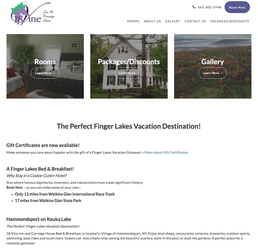 Doug Amey Website Design 18 Vine, Hammondsport, NY