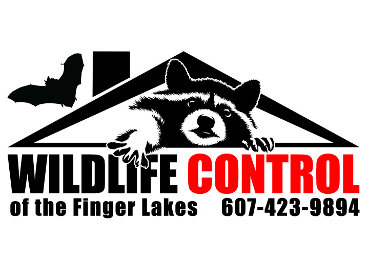 Wildlife Control of the Finger Lakes, Logo Design